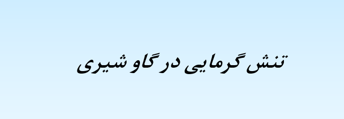 tanesh-garmaei-gav-shiri